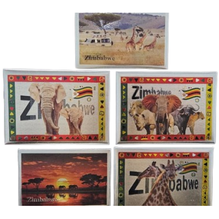 Tin Foil Magnets- Zimbabwe 